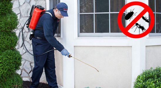 Perşembe Böcek ve Haşere İlaçlama böcek ilaçlama ve haşere kontrolü — ilaclama-tr.com